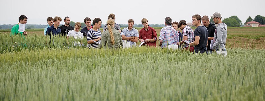 Praktischer Unterricht auf dem Feld