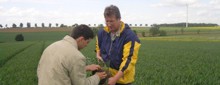 Ausbildungsberatung Landbau, Weinbau, Hauswirtschaft