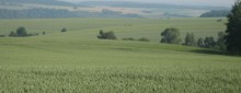 Landschaft - Link zum Pflanzenbau